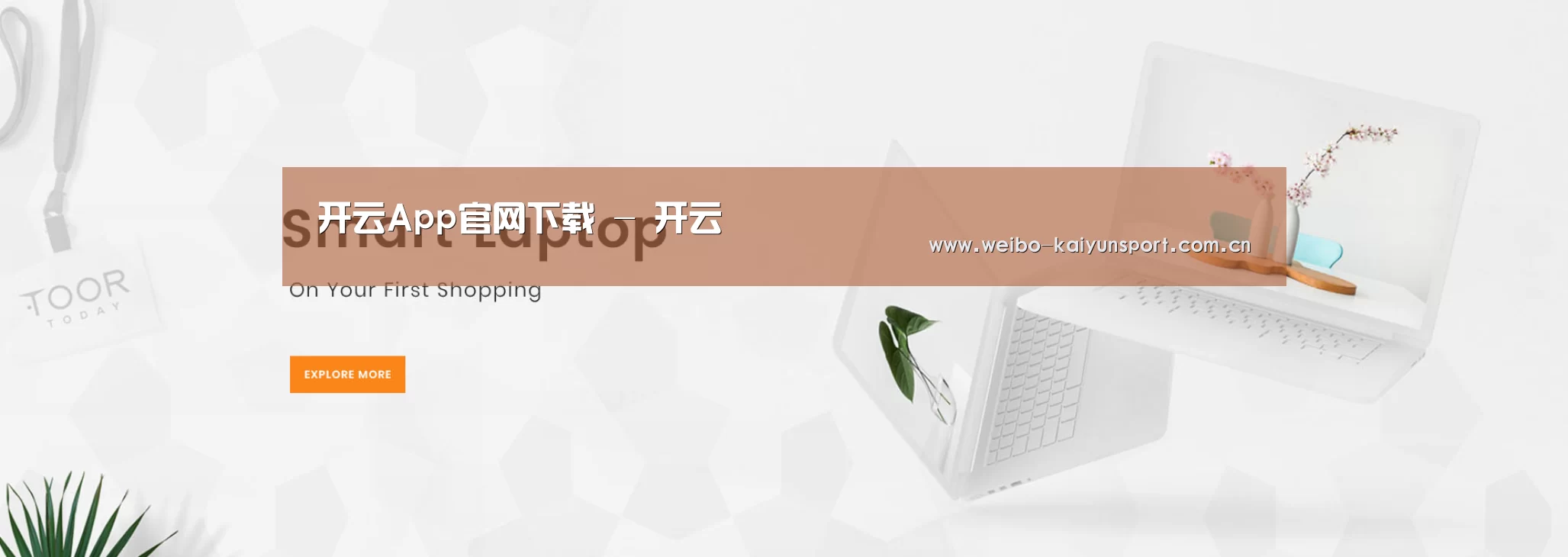 某某网络科技有限公司